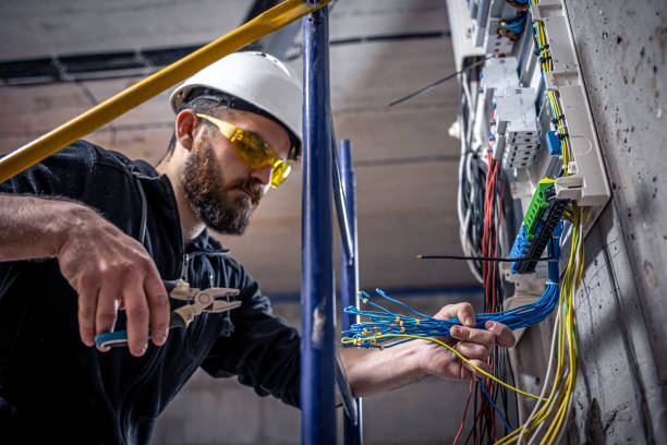 Best Electric Panel Repair  in Parshall, ND
