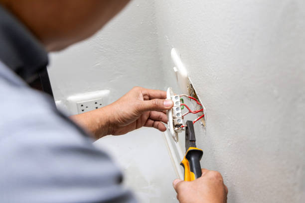 Best Local Electrician Companies  in Parshall, ND